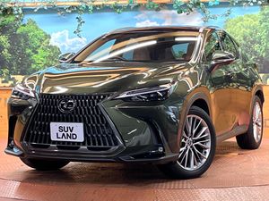 2023 Lexus NX 6AA-AAZH20