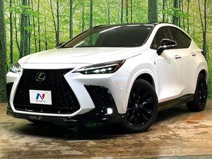 2024 Lexus NX 6AA-AAZH25