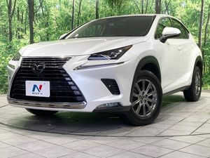 2019 Lexus NX DBA-AGZ10