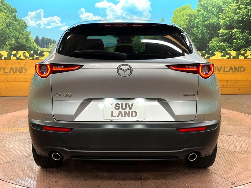 2019 Mazda CX-30 3DA-DM8P (UW-6a9f7be996c21)[7]