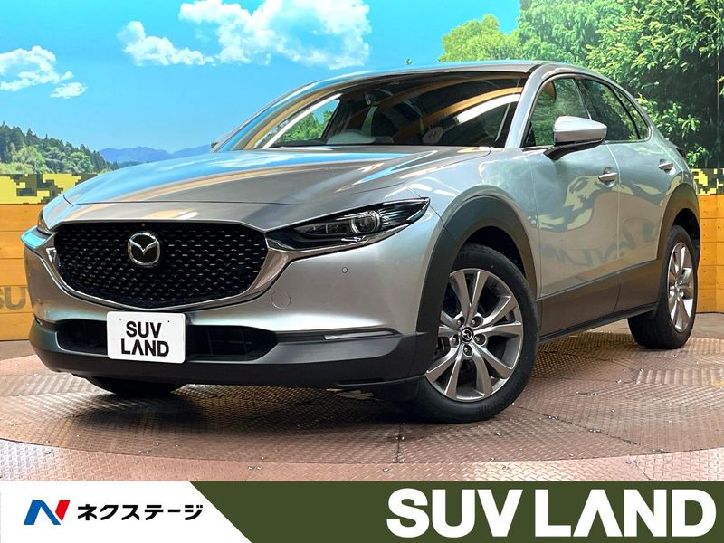 2019 Mazda CX-30 3DA-DM8P (UW-6a9f7be996c21)[3]