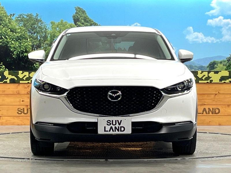 2022 Mazda CX-30 3DA-DM8P (UW-6a9f7bea7c81c)[29]