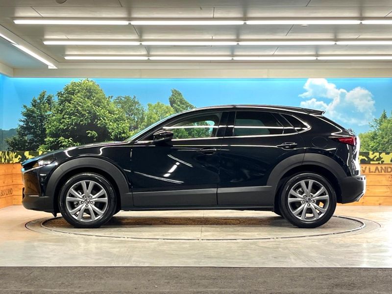 2023 Mazda CX-30 3DA-DM8P (UW-6a9f7beac09dd)[22]