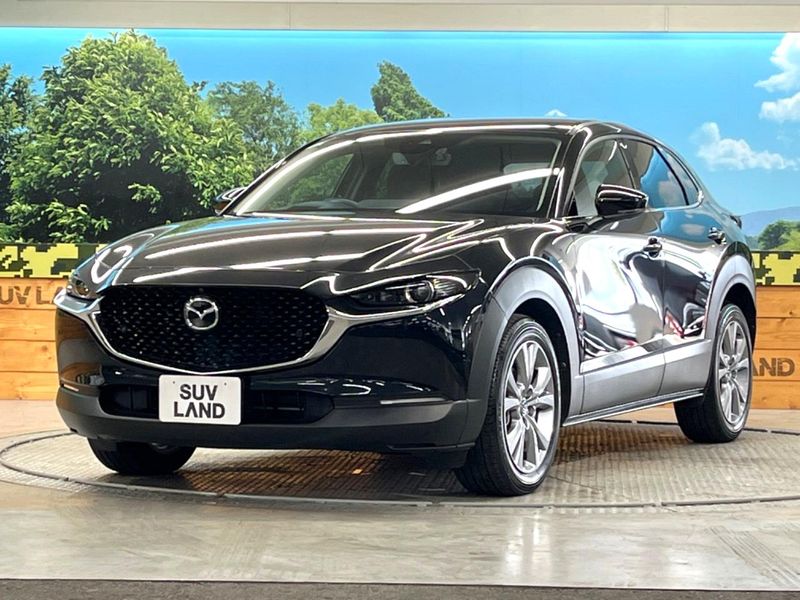 2023 Mazda CX-30 3DA-DM8P (UW-6a9f7beac09dd)[21]