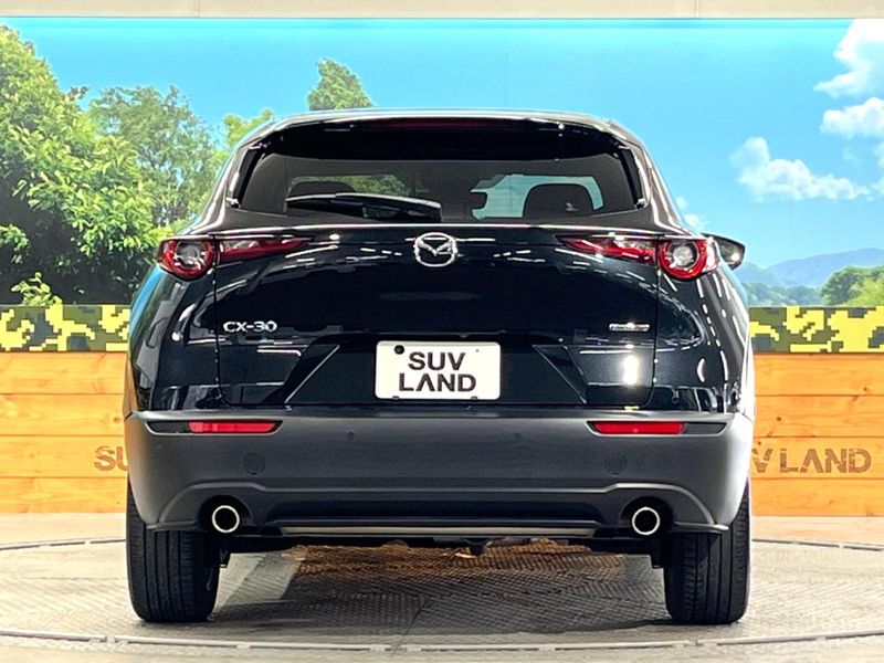 2023 Mazda CX-30 3DA-DM8P (UW-6a9f7beac09dd)[24]