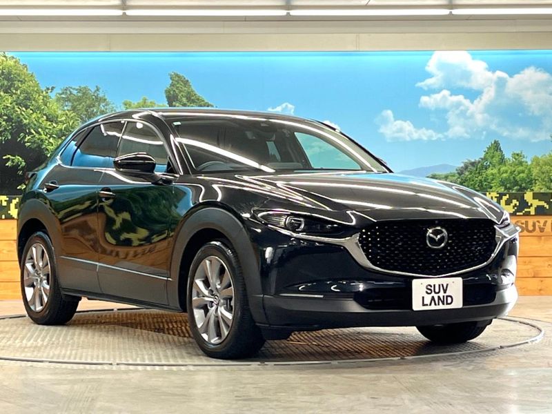 2023 Mazda CX-30 3DA-DM8P (UW-6a9f7beac09dd)[27]