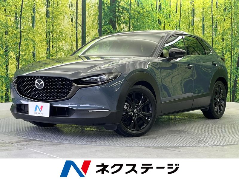 2024 Mazda CX-30 3DA-DM8R (UW-6a9f7bead07b1)[3]