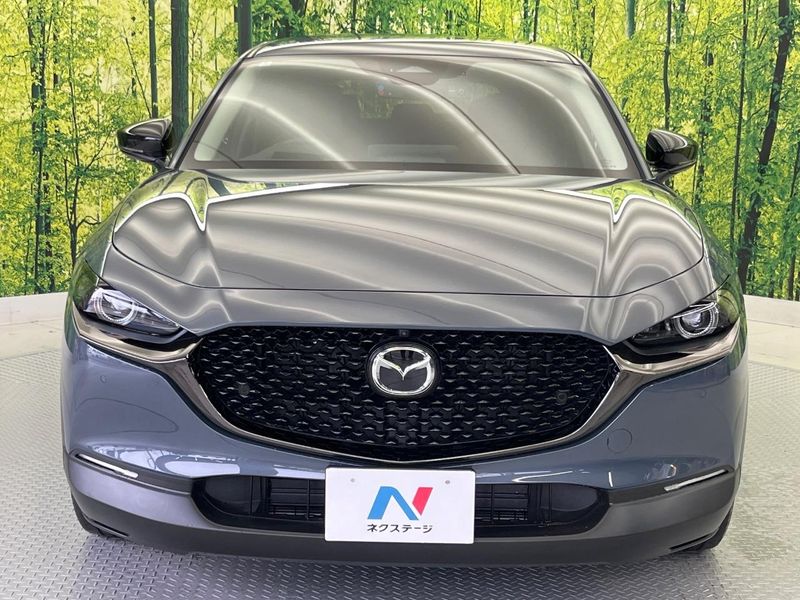 2024 Mazda CX-30 3DA-DM8R (UW-6a9f7bead07b1)[4]