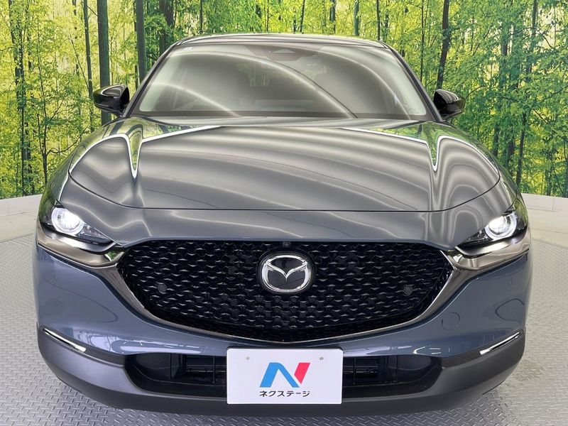 2024 Mazda CX-30 3DA-DM8R (UW-6a9f7bead07b1)[13]