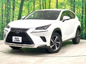 2020 Lexus NX DBA-AGZ10