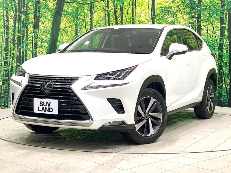 2020 Lexus NX DBA-AGZ10 (UW-6aa0cccd9f322)[0]