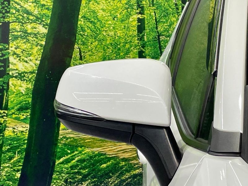 2019 Toyota RAV4 6AA-AXAH54 (UW-6aa0ccda806f2)[13]