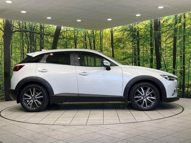 2016 Mazda CX-3 LDA-DK5AW (UW-6aa0cd5da5bc7)[19]
