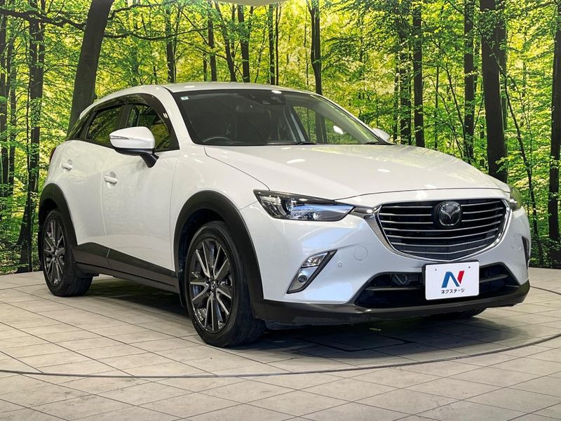 2016 Mazda CX-3 LDA-DK5AW (UW-6aa0cd5da5bc7)[18]