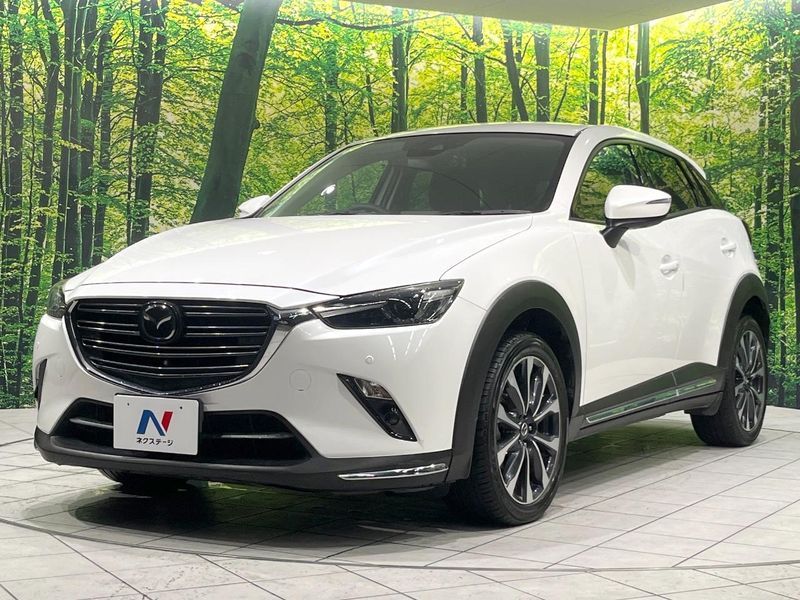 2018 Mazda CX-3 3DA-DK8FW (UW-6aa0cd5fe316f)[4]