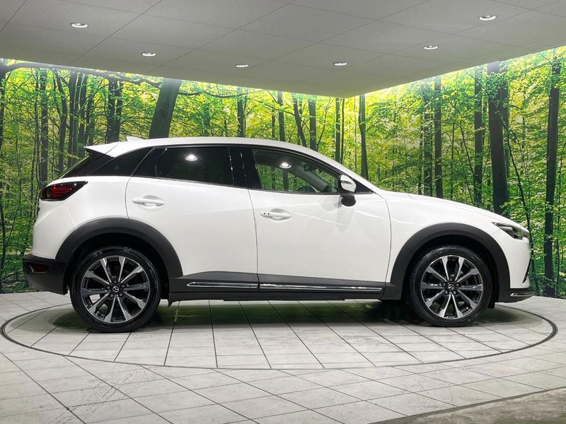 2018 Mazda CX-3 3DA-DK8FW (UW-6aa0cd5fe316f)[10]