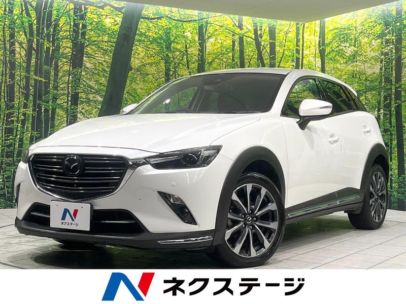 2018 Mazda CX-3 3DA-DK8FW (UW-6aa0cd5fe316f)[3]