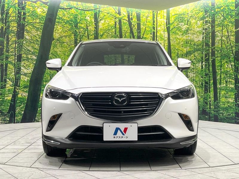 2018 Mazda CX-3 3DA-DK8FW (UW-6aa0cd5fe316f)[6]
