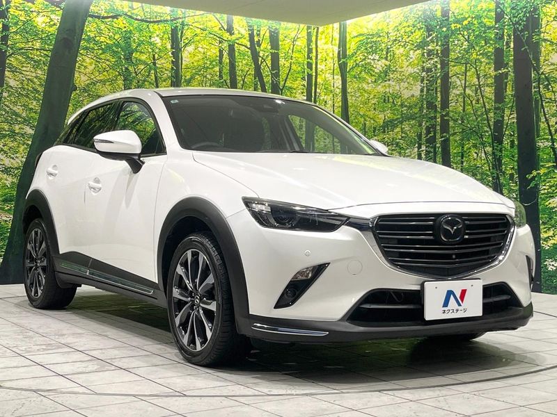 2018 Mazda CX-3 3DA-DK8FW (UW-6aa0cd5fe316f)[5]
