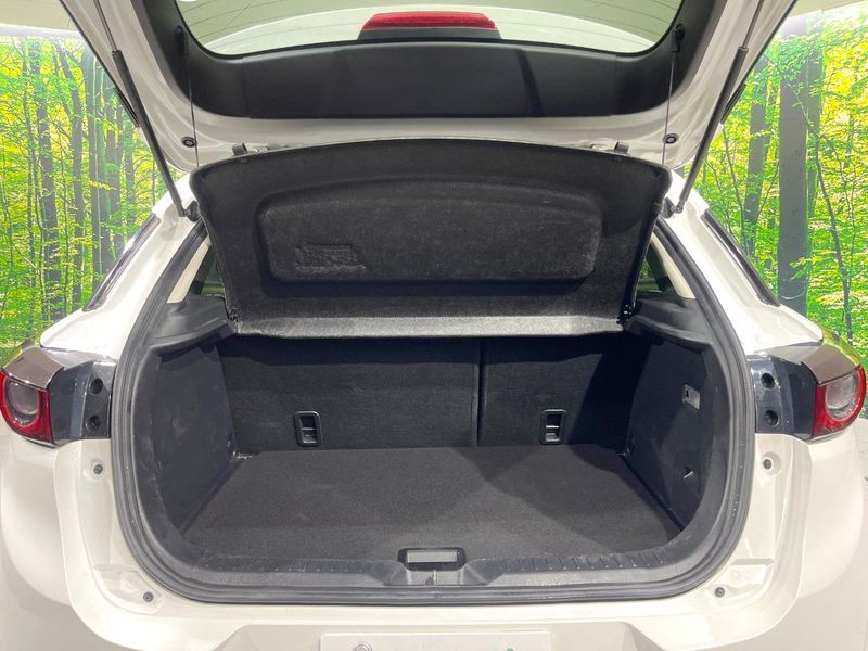 2018 Mazda CX-3 3DA-DK8FW (UW-6aa0cd5fe316f)[12]