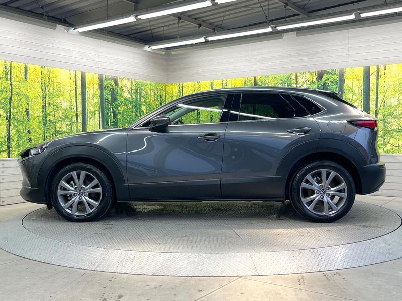 2020 Mazda CX-30 3DA-DM8P (UW-6aa0cd613bee9)[12]