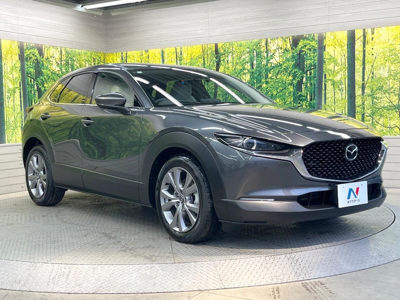 2020 Mazda CX-30 3DA-DM8P (UW-6aa0cd613bee9)[7]