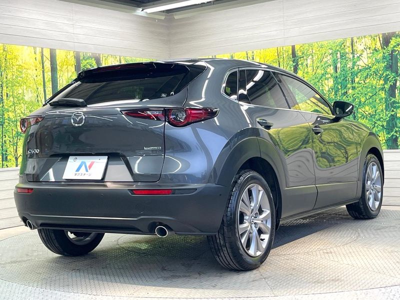 2020 Mazda CX-30 3DA-DM8P (UW-6aa0cd613bee9)[9]