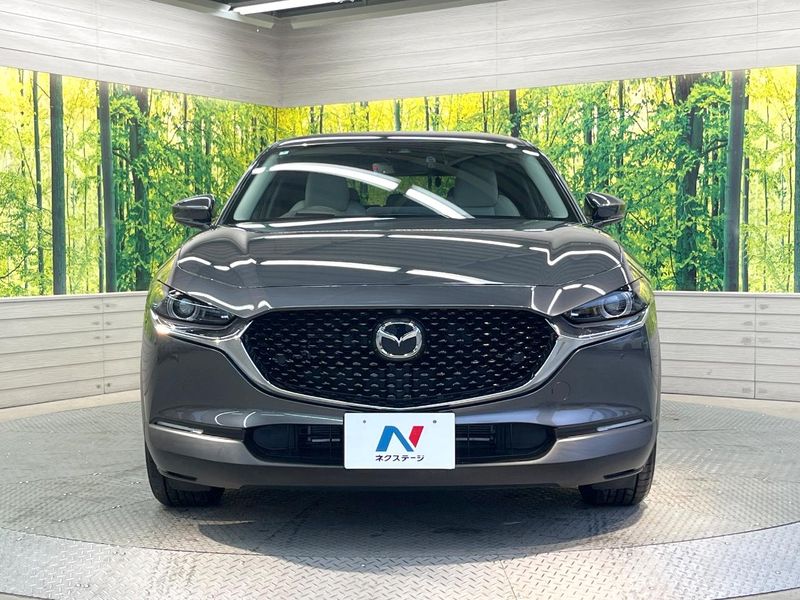 2020 Mazda CX-30 3DA-DM8P (UW-6aa0cd613bee9)[6]