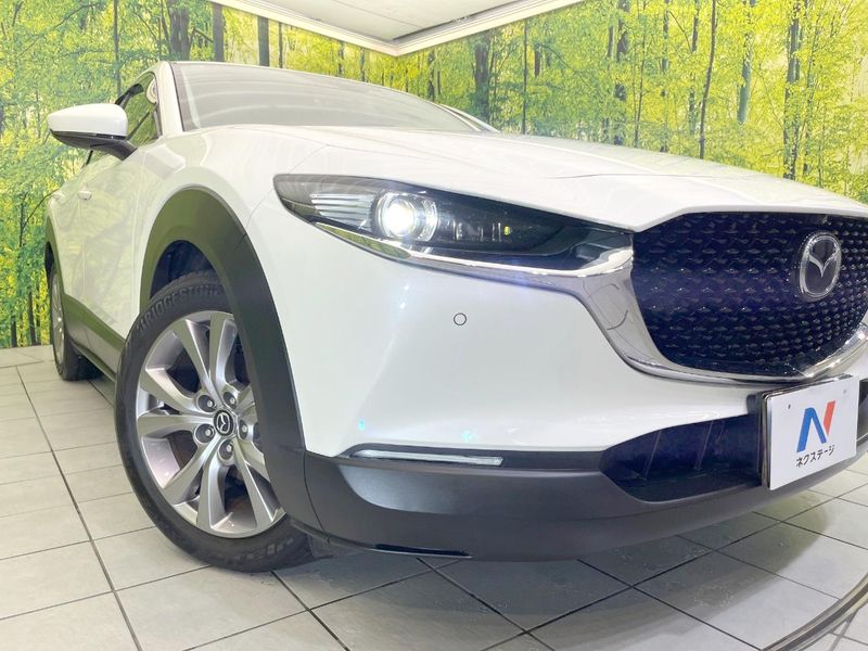 2019 Mazda CX-30 3DA-DM8P (UW-6aa0cd614d935)[17]