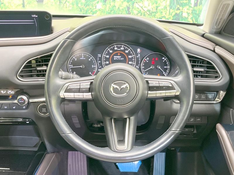 2019 Mazda CX-30 3DA-DM8P (UW-6aa0cd614d935)[29]