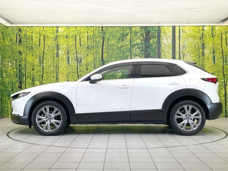 2019 Mazda CX-30 3DA-DM8P (UW-6aa0cd614d935)[11]