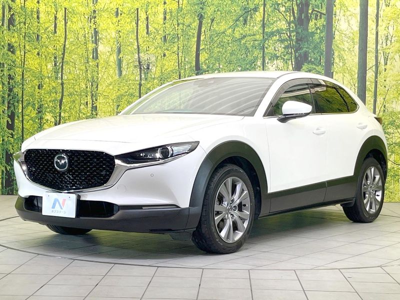 2019 Mazda CX-30 3DA-DM8P (UW-6aa0cd614d935)[4]