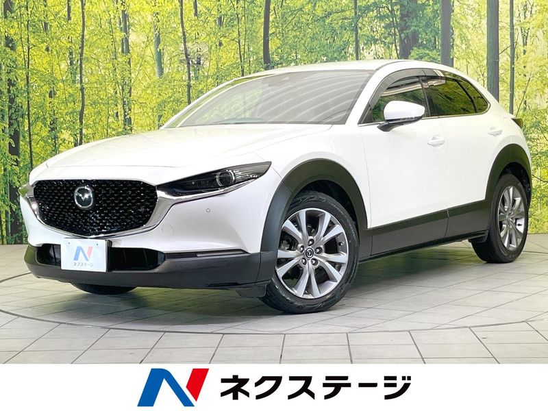 2019 Mazda CX-30 3DA-DM8P (UW-6aa0cd614d935)[3]