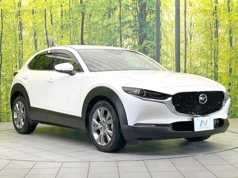 2019 Mazda CX-30 3DA-DM8P (UW-6aa0cd614d935)[6]