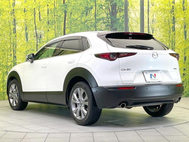 2019 Mazda CX-30 3DA-DM8P (UW-6aa0cd614d935)[10]