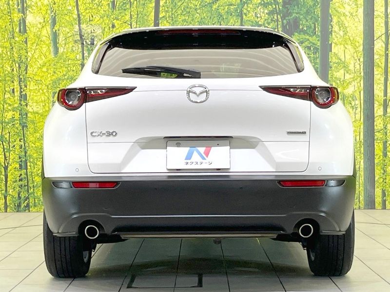 2019 Mazda CX-30 3DA-DM8P (UW-6aa0cd614d935)[9]