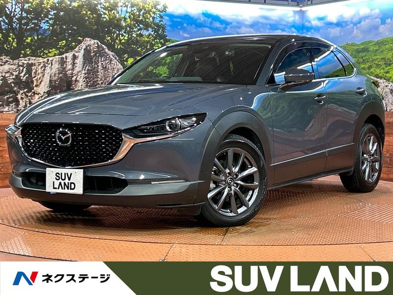 2019 Mazda CX-30 3DA-DM8P (UW-6aa0cd61a3275)[3]