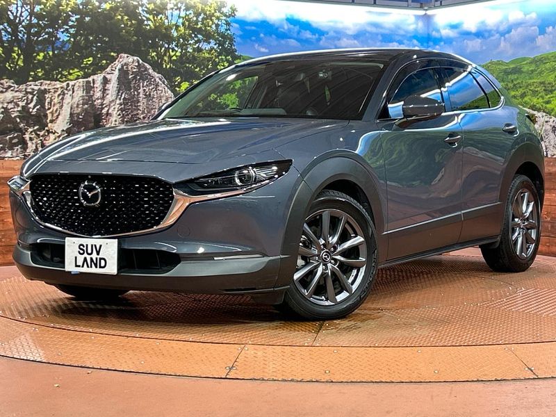 2019 Mazda CX-30 3DA-DM8P (UW-6aa0cd61a3275)[0]