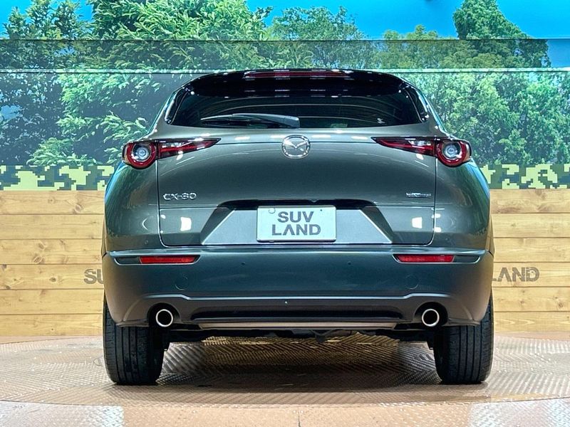 2021 Mazda CX-30 5BA-DMEP (UW-6aa0cd656a2c9)[15]