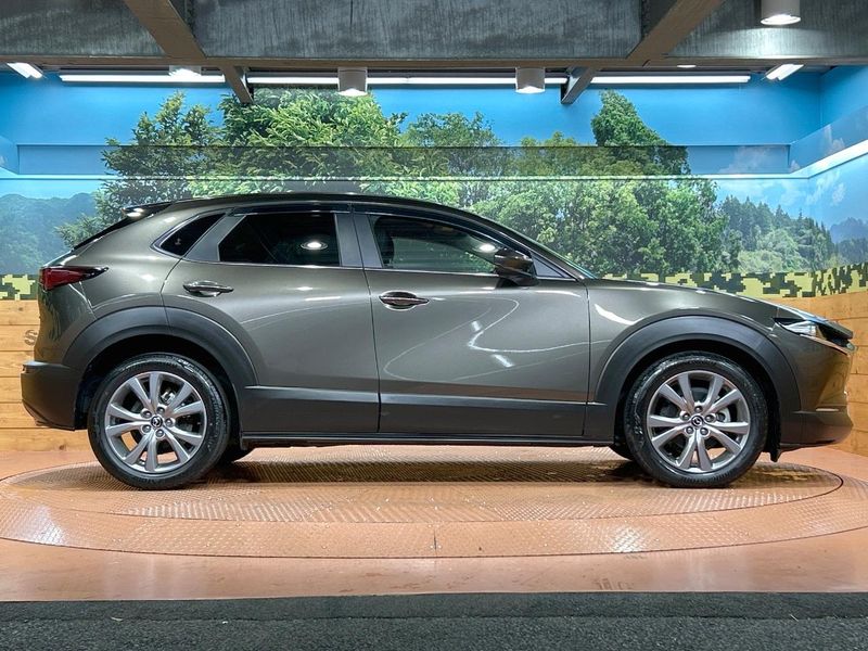 2021 Mazda CX-30 5BA-DMEP (UW-6aa0cd656a2c9)[17]