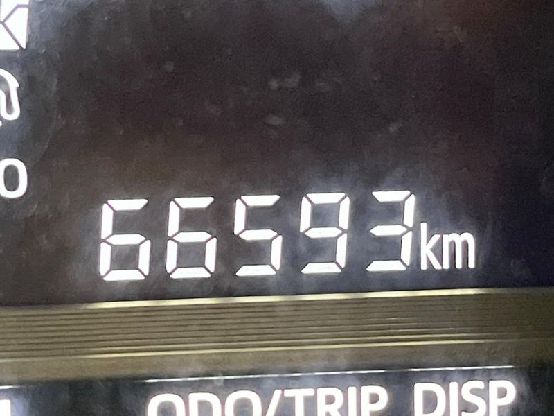 2019 Toyota Passo 5BA-M700A (UW-6aa0ceebbb340)[2]