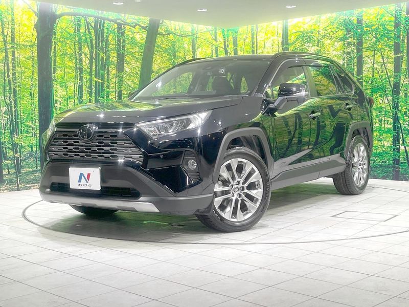 2019 Toyota RAV4 6BA-MXAA54 (UW-6aa0cf7be9408)[0]