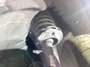 2022 Honda Odyssey Hybrid 6AA-RC4 (UW-6aa0d009ba3b0)[25]