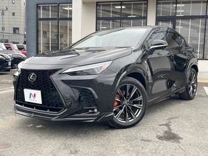 2024 Lexus NX 6AA-AAZH20