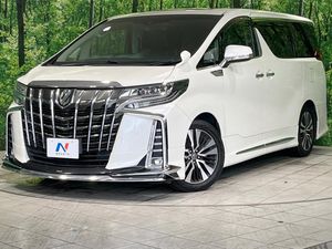 2019 Toyota Alphard DBA-AGH30W