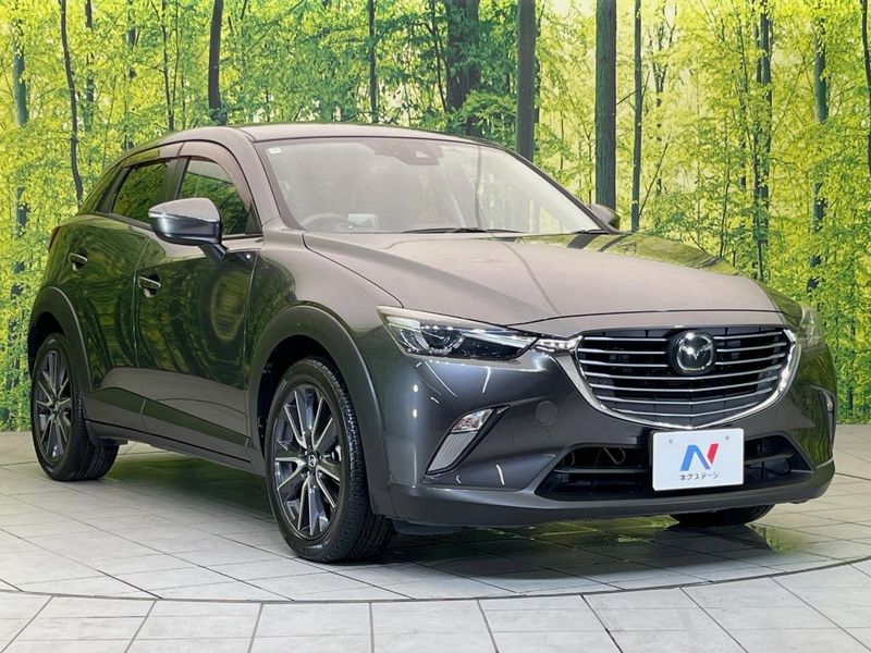 2018 Mazda CX-3 LDA-DK5FW (UW-6aa21ec2446c1)[23]