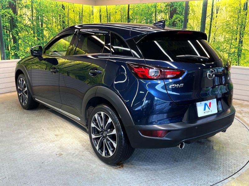 2018 Mazda CX-3 3DA-DK8FW (UW-6aa21ec25f0e4)[12]