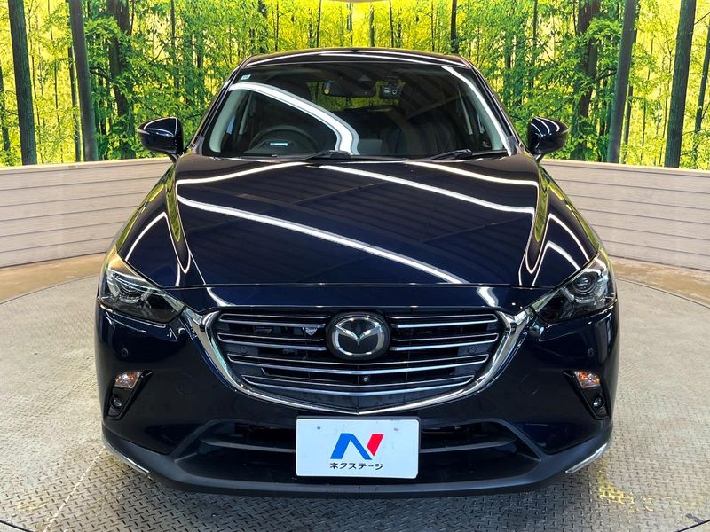 2018 Mazda CX-3 3DA-DK8FW (UW-6aa21ec25f0e4)[7]