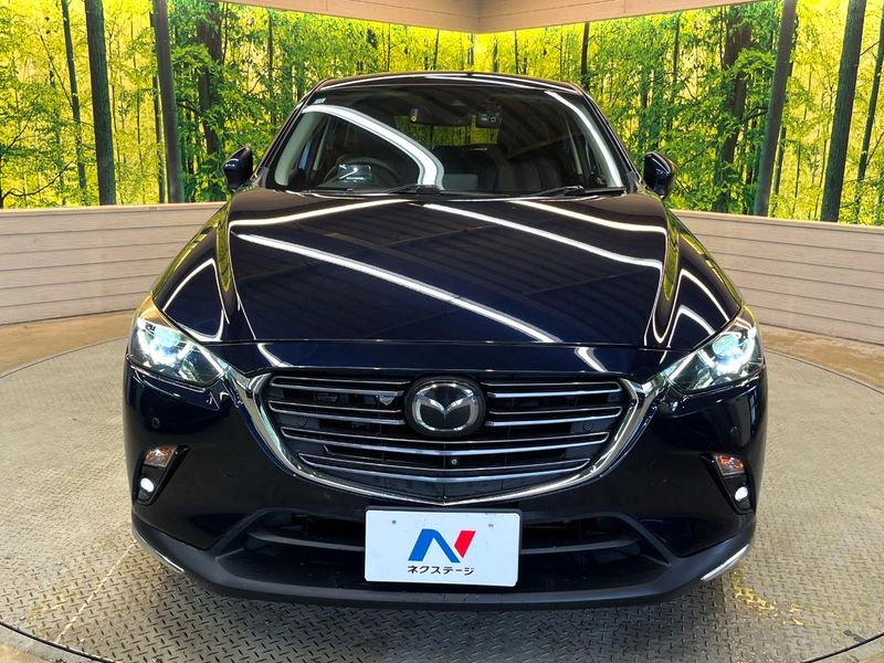 2018 Mazda CX-3 3DA-DK8FW (UW-6aa21ec25f0e4)[24]