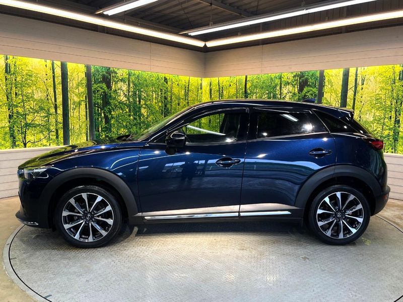2018 Mazda CX-3 3DA-DK8FW (UW-6aa21ec25f0e4)[13]